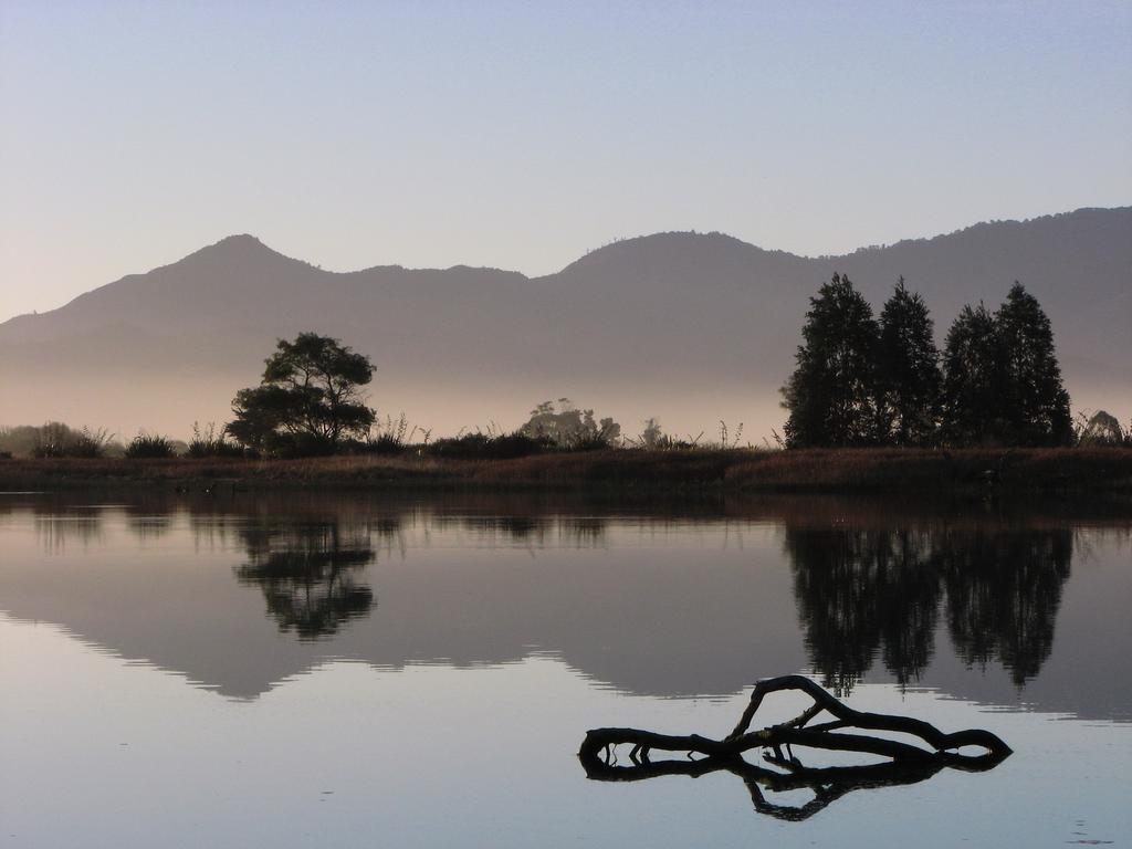 Misty River Retreat Μπλένχαϊμ Εξωτερικό φωτογραφία